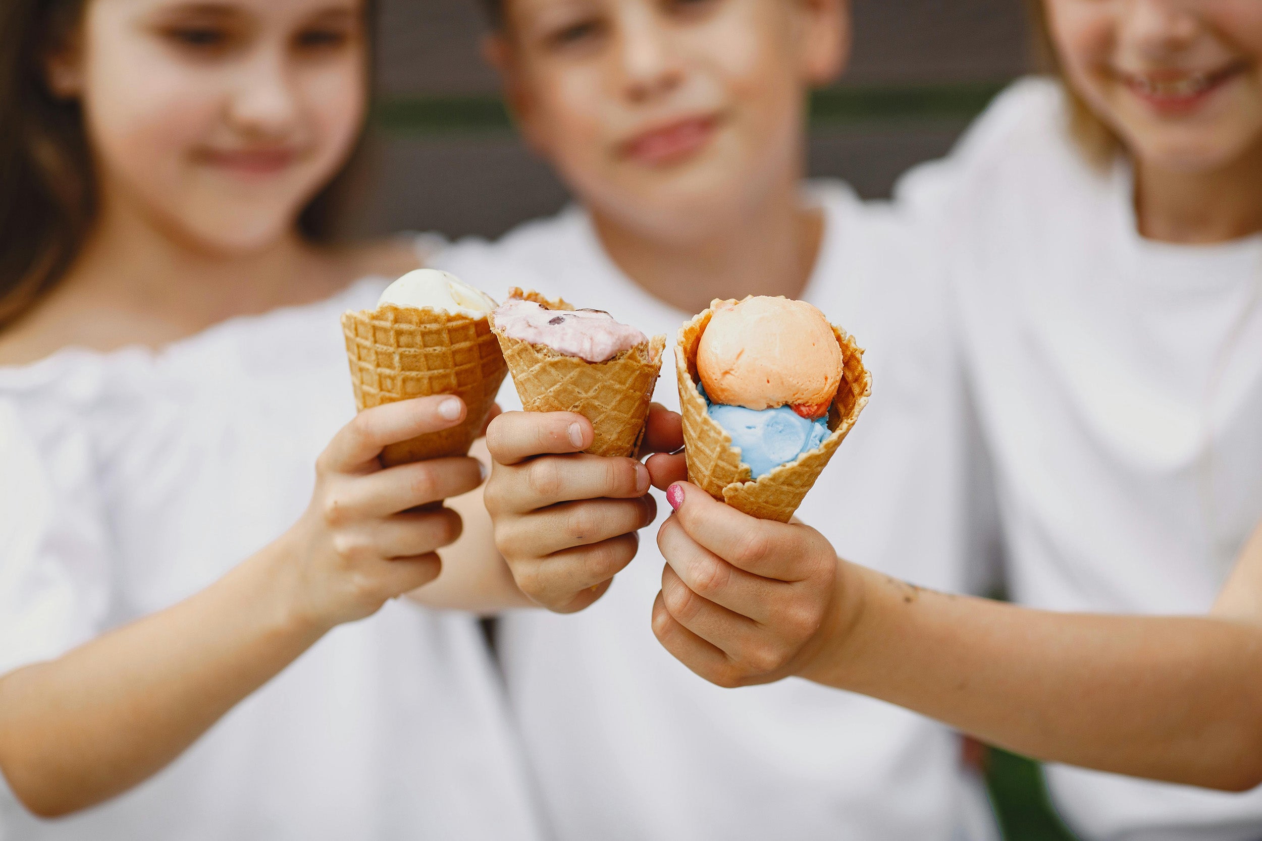 Delicious ice cream, coffee and snacks to go for a day out on Sylvan Lake.