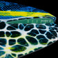 MVP V4 Wake Surf Skim Board (2026)